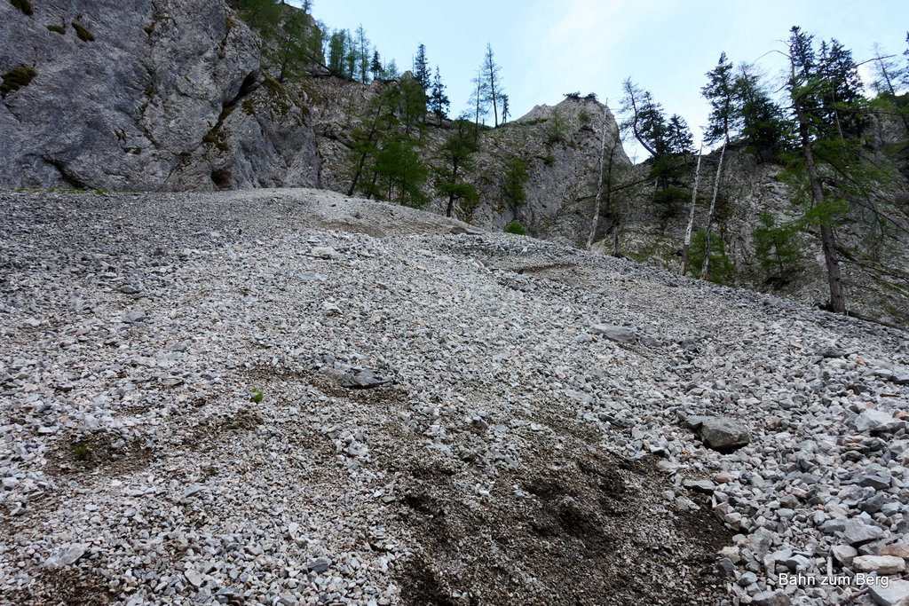 Foto: Martin Heppner