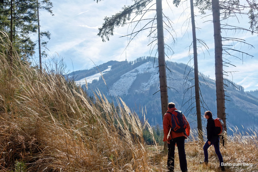 Vom Schafberg Blick auf die Mugel. Foto: Martin Heppner