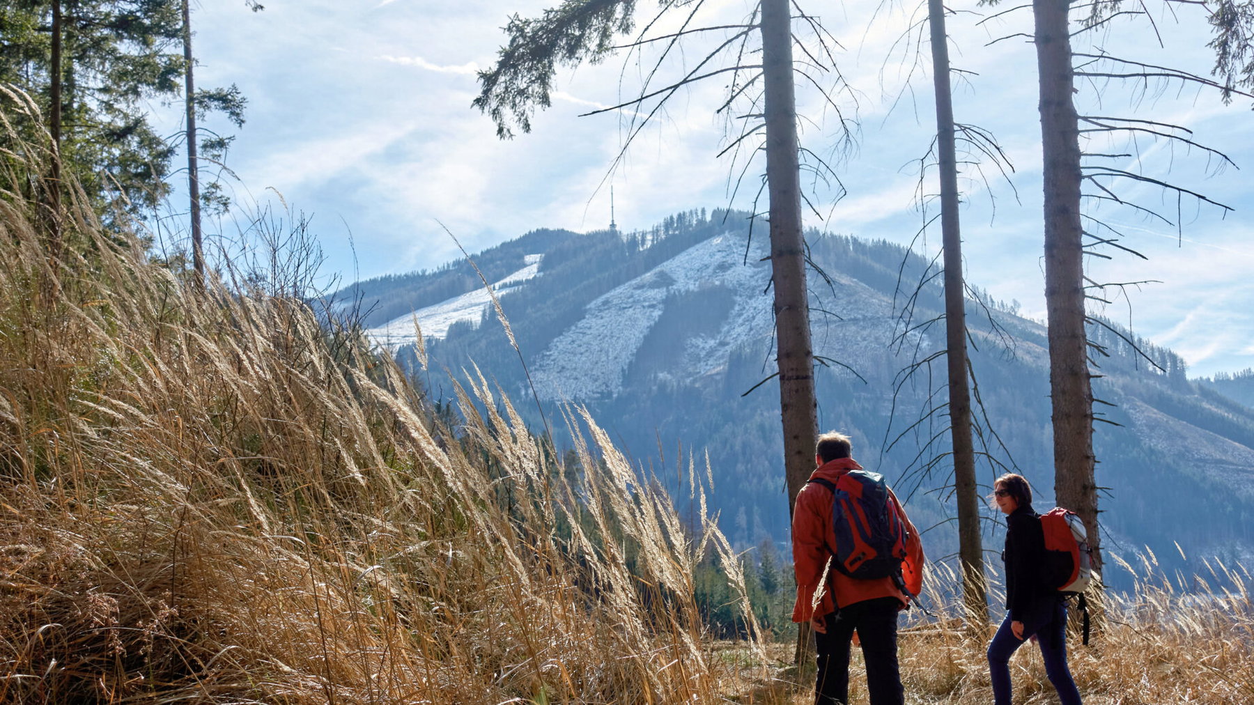 Vom Schafberg Blick auf die Mugel. Foto: Martin Heppner