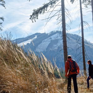 Die Mugel: Hausberg von Leoben