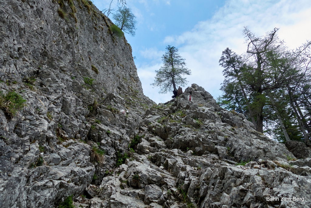 Foto: Martin Heppner