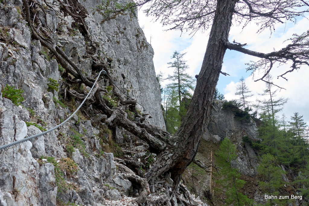 Foto: Martin Heppner