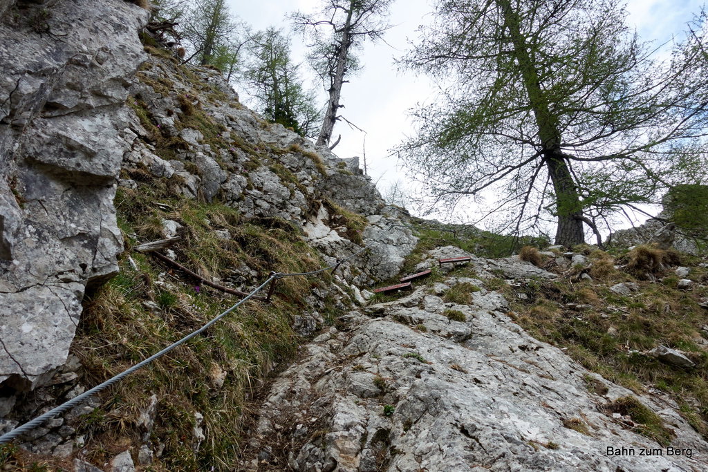 Foto: Martin Heppner