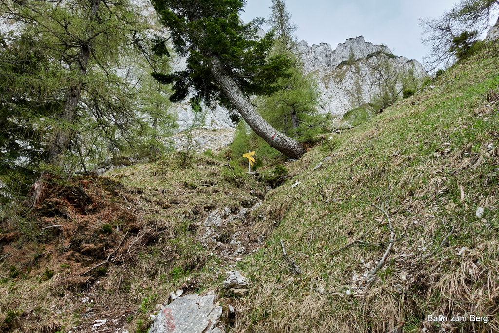 Foto: Martin Heppner