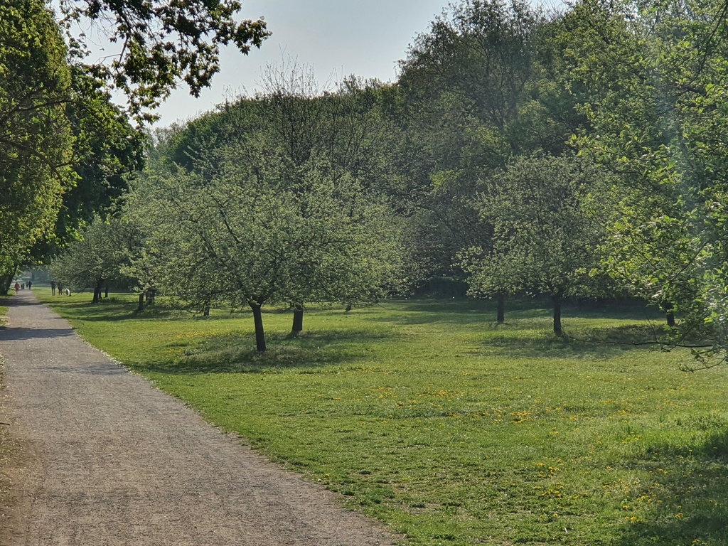 Sulzwiese. Foto: Christoph Hammerl