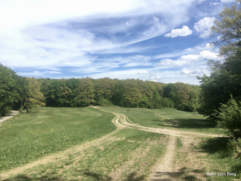Rastplatz in Sicht- Foto Veronika Schöll