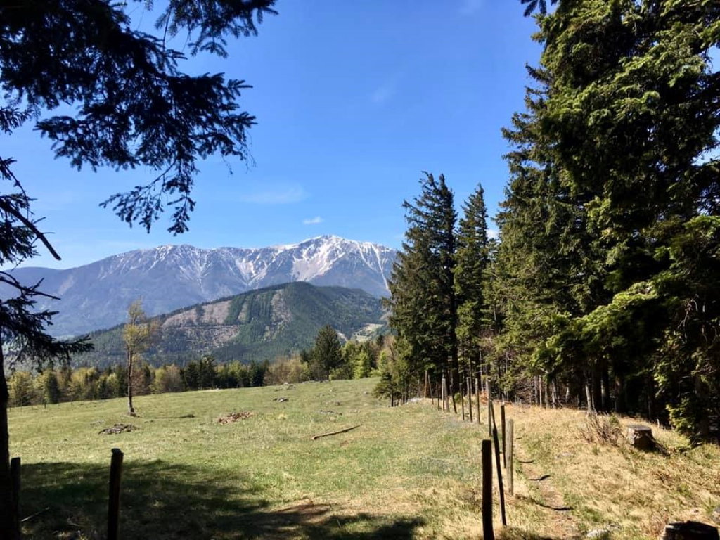 Auf der Dürren Wand. Foto Veronika Schöll
