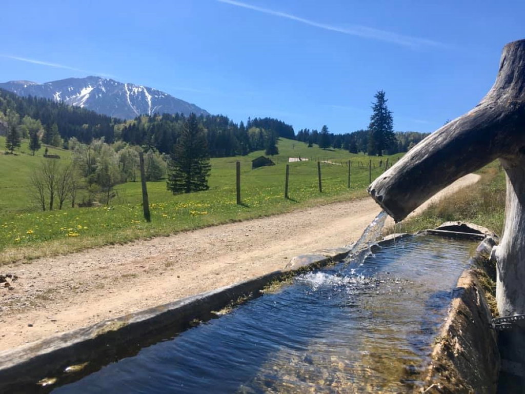 Auf der Schoberalm ist es sehr fein. Foto Veronika Schöll