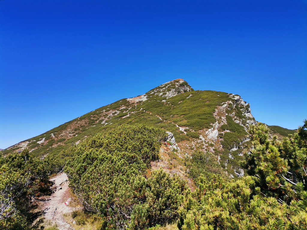Vom Rucksack-Depot ist es noch eine halbe Stunde bis zum Strimskogel-Gipfelkreuz. Foto Veronika Schöll