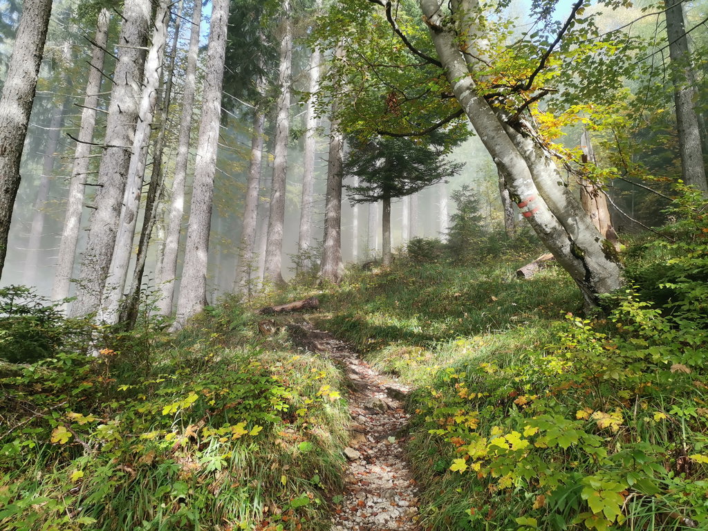 Der Nebel lichtet sich. Foto Veronika Schöll