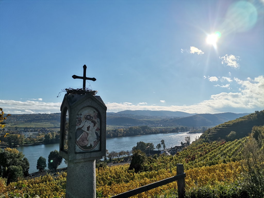 Hinaus in die Weingärten. Foto Veronika Schöll