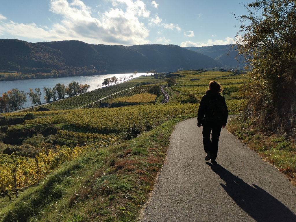 Entlang des Loibenbergs. Foto Veronika Schöll