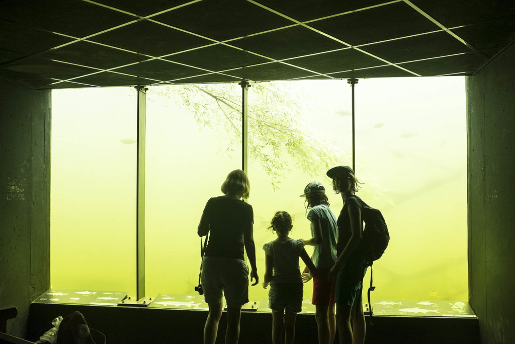 Am Fenster der Unterwasserbeobachtungsstation. Foto: Birgit Reiter