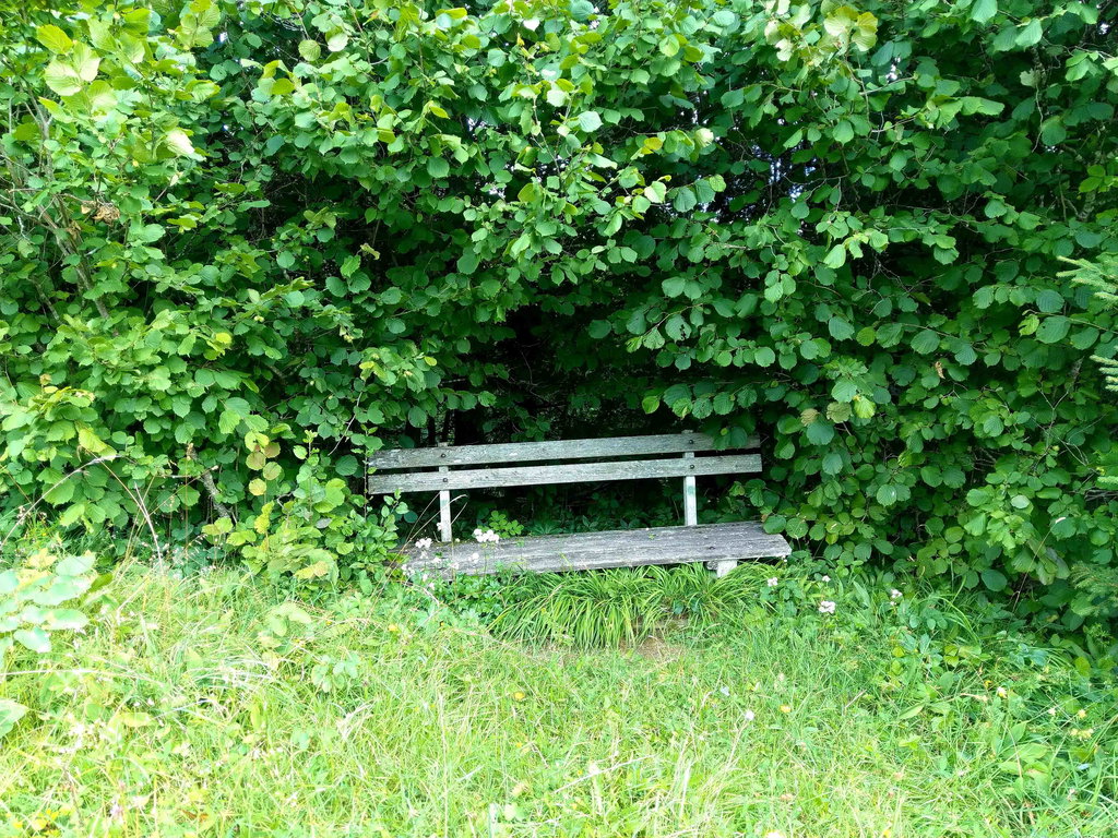 Immer wieder laden Holzbänke zum Rasten ein. Foto: Magda Abl.