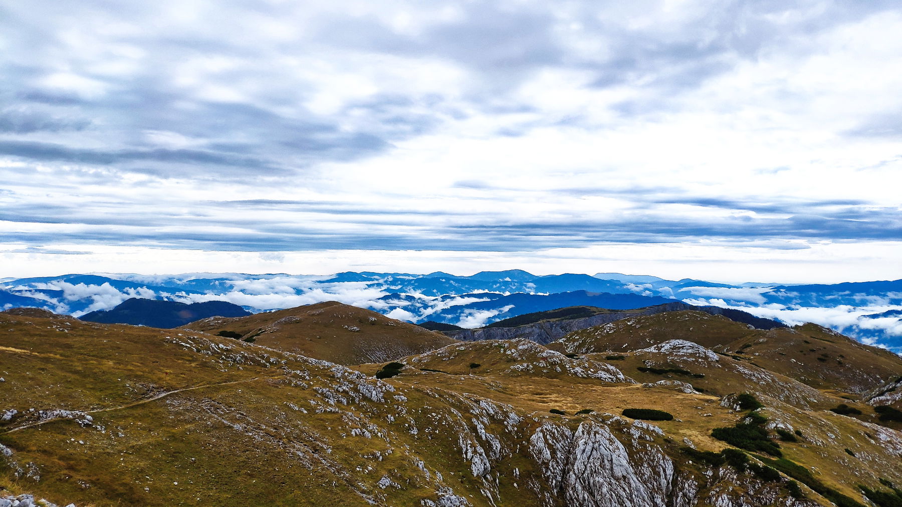 Zwei Herbsttage mit Steinböcken