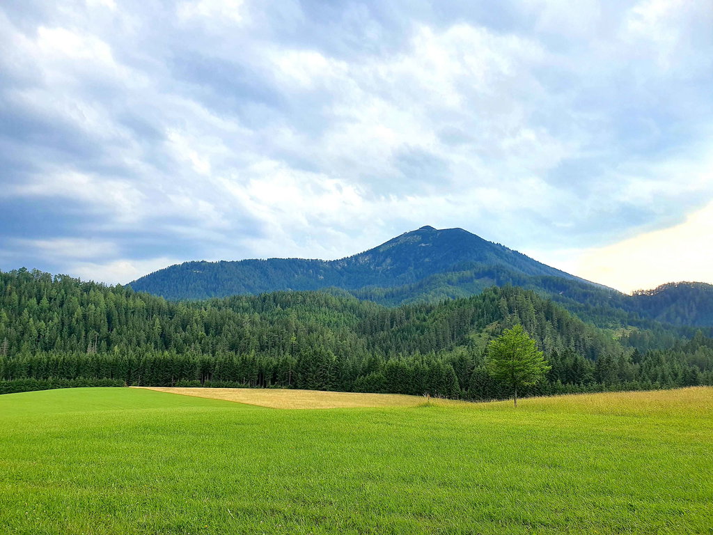 Blick auf die Gemeindealpe von der Wiese Richtung Mitterbach aus. Foto: Magda Abl
