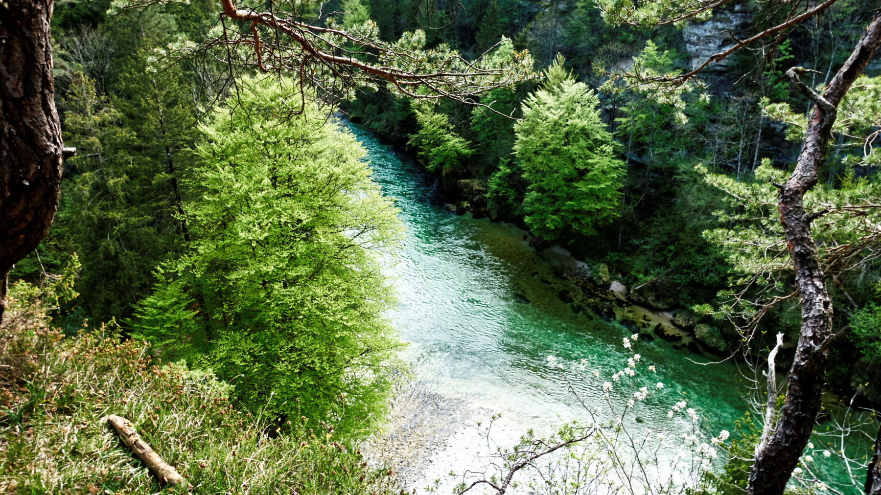 Fluss Steyr