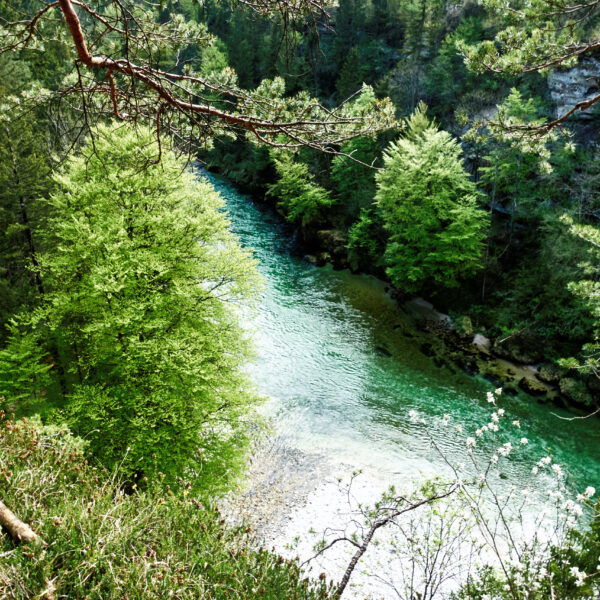 Fluss Steyr