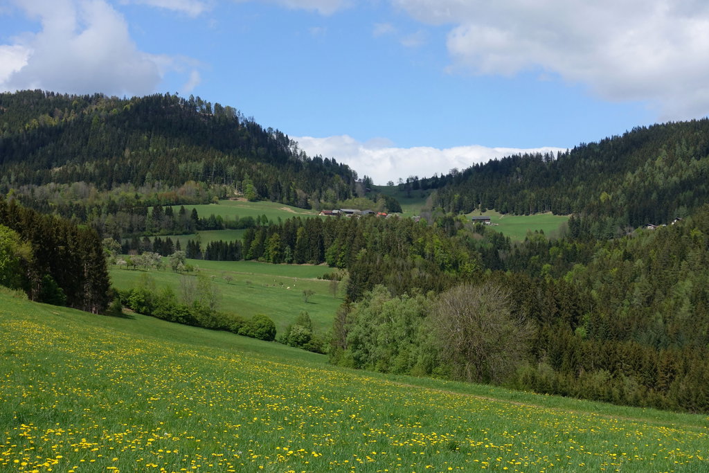 Richtung Trötschsattel. Foto: Peter Backé