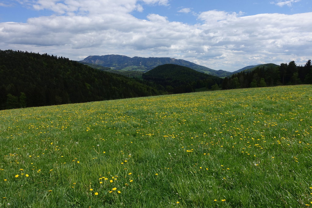 Schöckl-Blick. Foto: Peter Backé