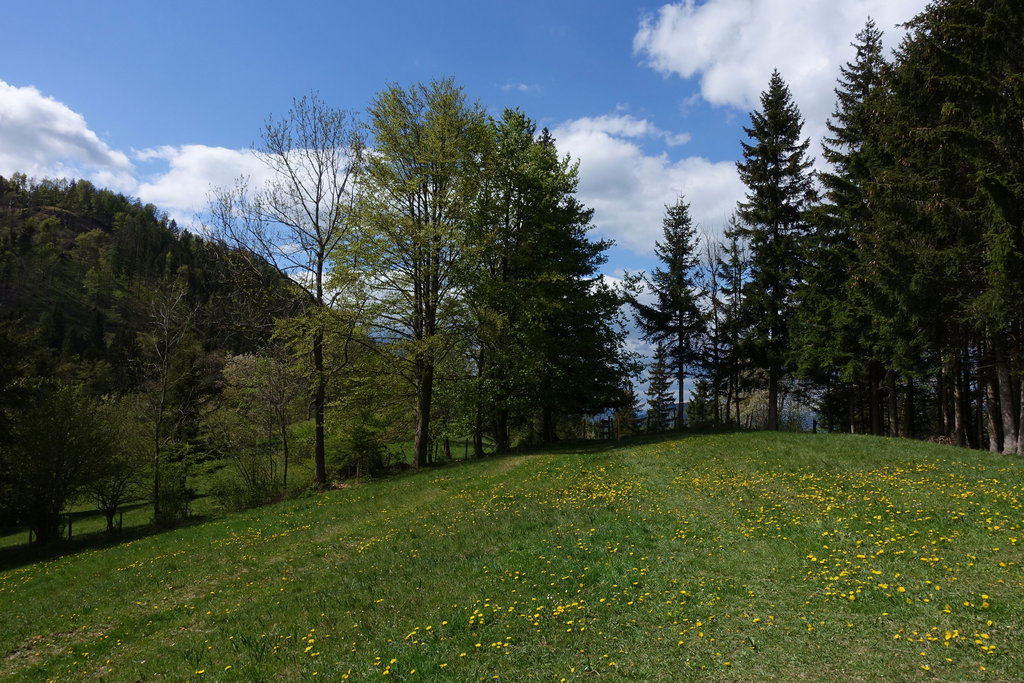 Nahe Trötschsattel. Foto: Peter Backé