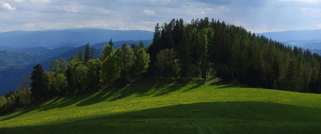 Rinnweberkogel. Foto: Peter Backé