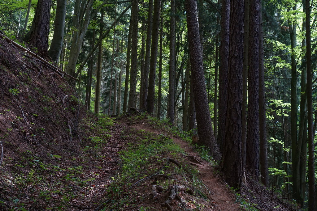 Abstieg. Foto: Peter Backé