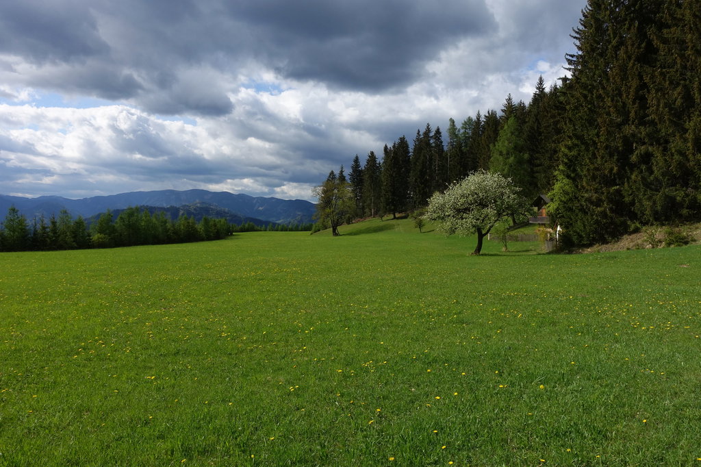 Rastplatz. Foto: Peter Backé