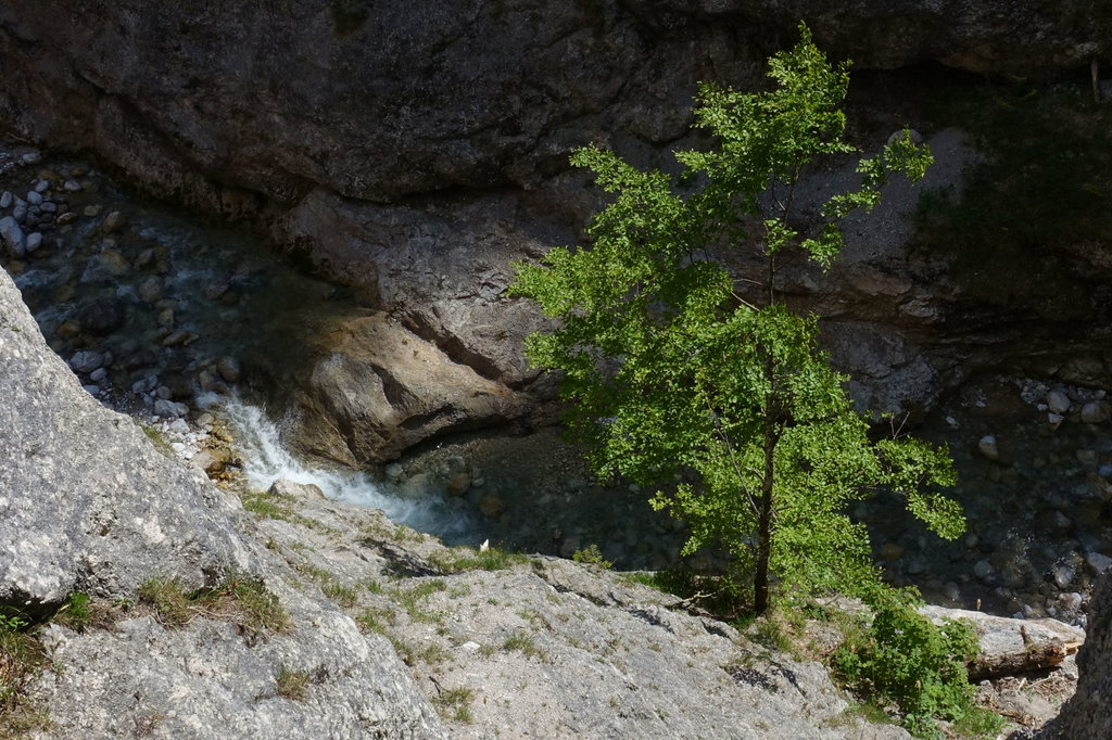 Tief unter mir rauscht und schäumt der Kaiserbach (Foto: Peter Backé)