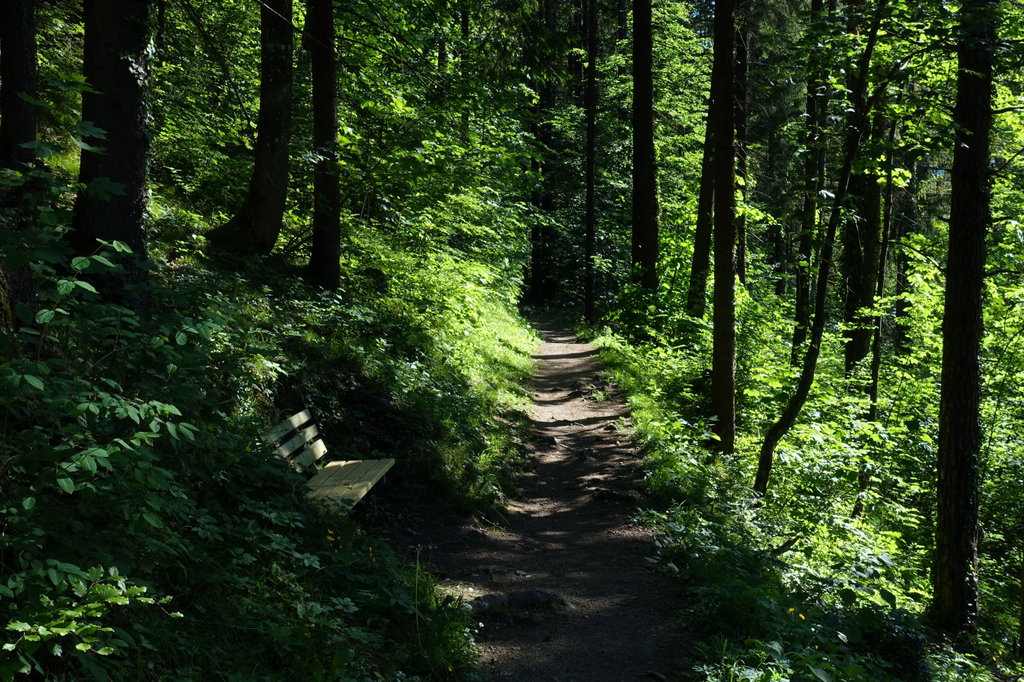 Waldidylle bereits nahe Kufstein (Foto: Peter Backé)