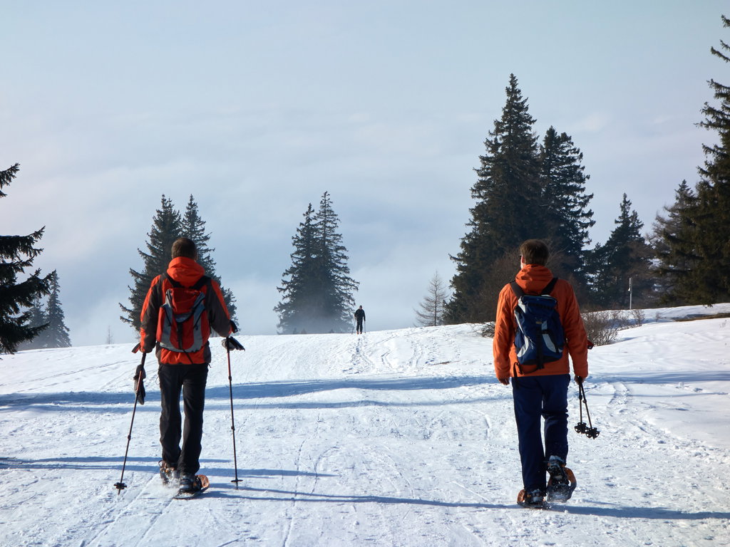 Das letzte Stück in der Sonne, bevor wir wieder in den Nebel eintauchen.