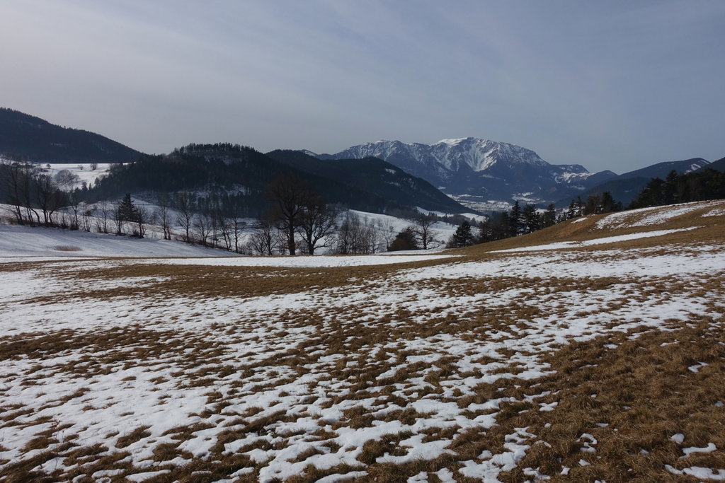 Vom Fuße der Hohen Wand Richtung Schneeberg.