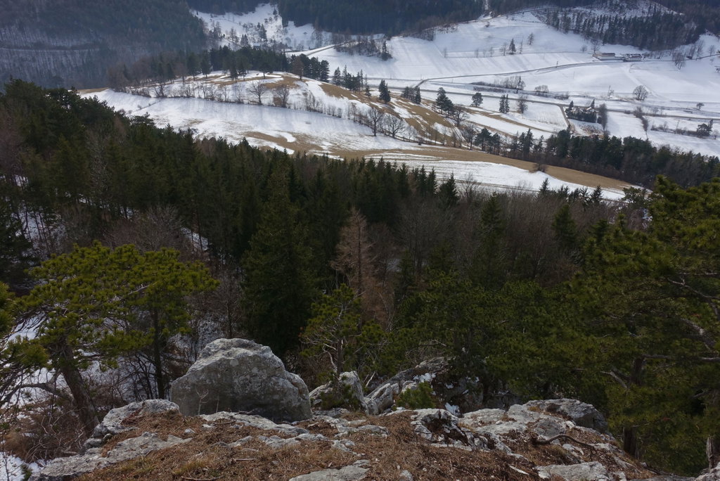 Blick vom Hausstein Richtung Grünbacher Sattel