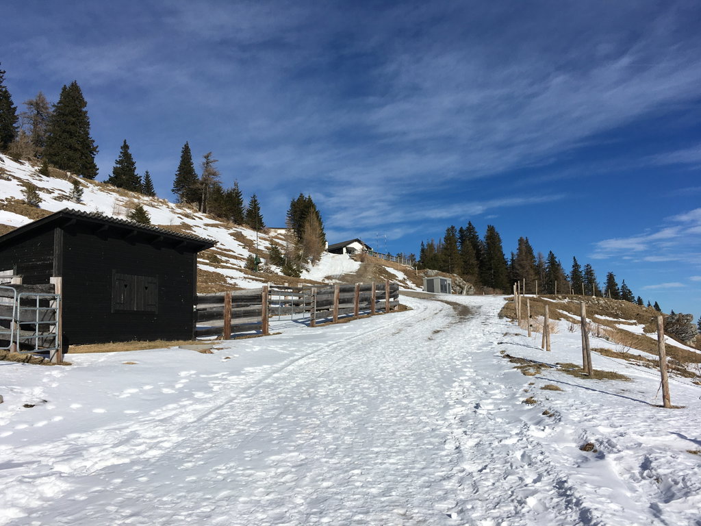 Sonne und Schnee