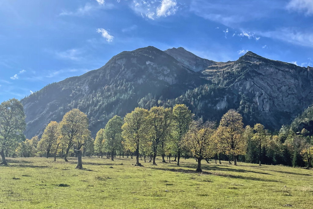 großer Ahornboden Richtung Westen. Foto: David Kurz