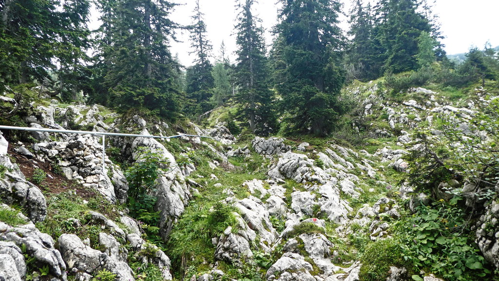 Die Wasserzuleitung von der Quellfassung zur Alm. Foto: Karl Plohovich