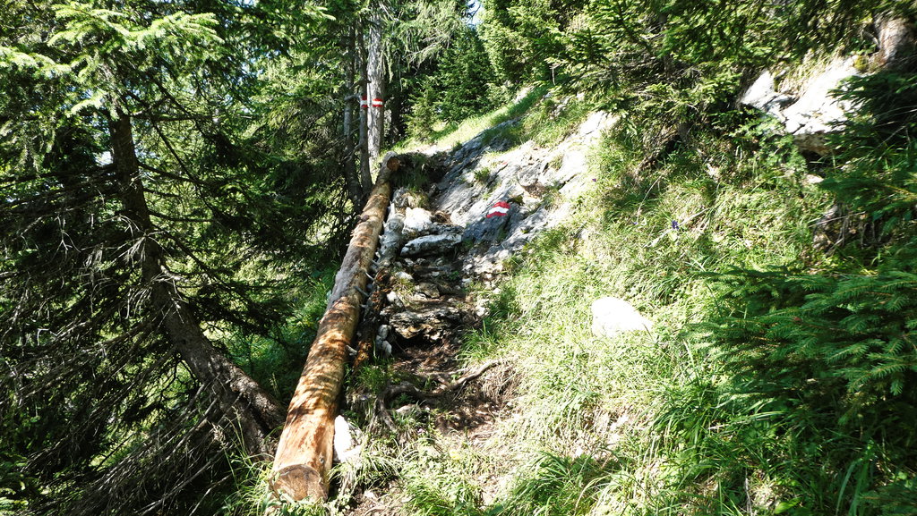 Der ausgebaute Steig. Foto: Karl Plohovich