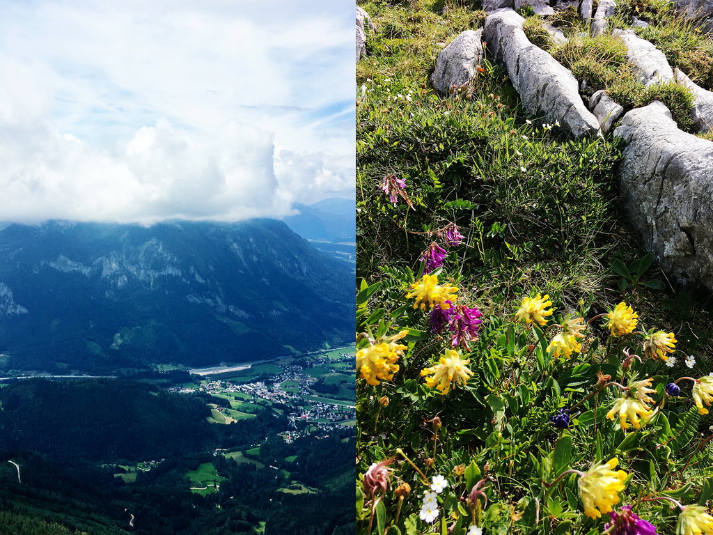 Die Autobahn im Tal. Die Blumen am Berg. (Fotos: Stefan Hochhold)