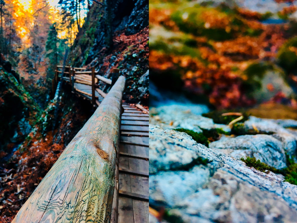 Dr.-Vogelgesang Klamm im Herbst (Foto: Stefan Hochhold)