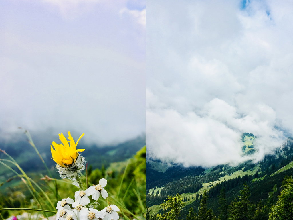 Wolken, Vegetation und Wolken (Fotos: Stefan Hochhold)