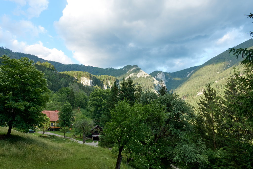Rückblick. Foto Martin Heppner