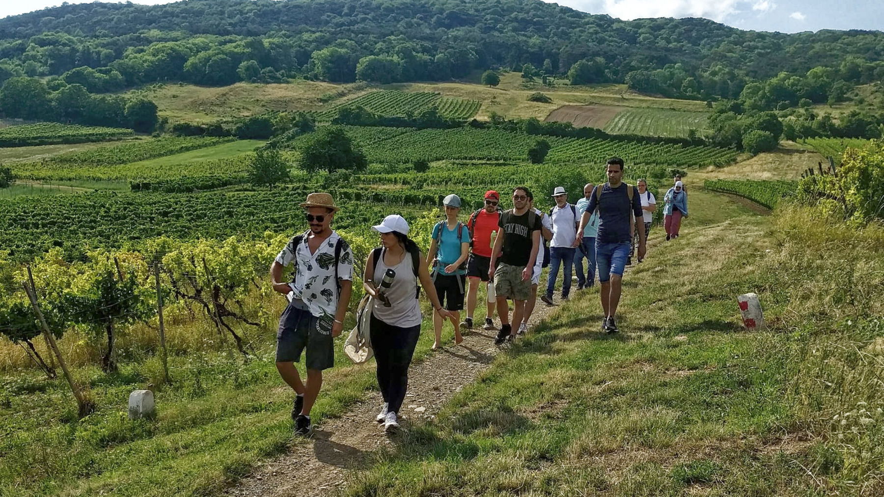 Begegnungen sind auf dieser gemütlichen Wanderung sehr gut möglich! Foto: Sarah Pallauf