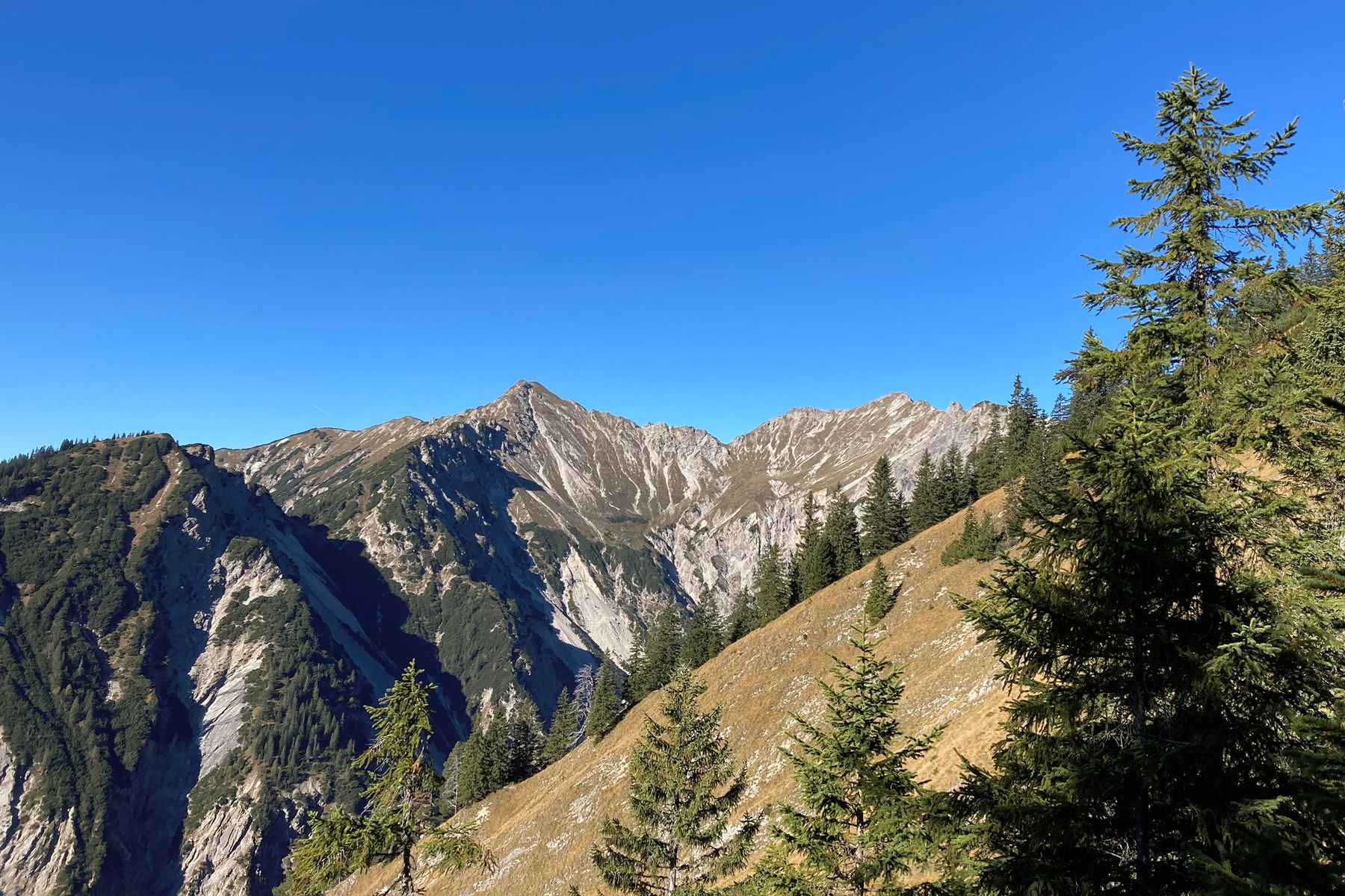 Frieder, Freude, Muskelkater