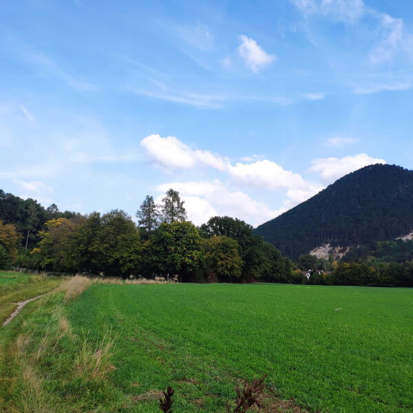 Das Inbild eines Hügels. Foto: Birgit Matzinger