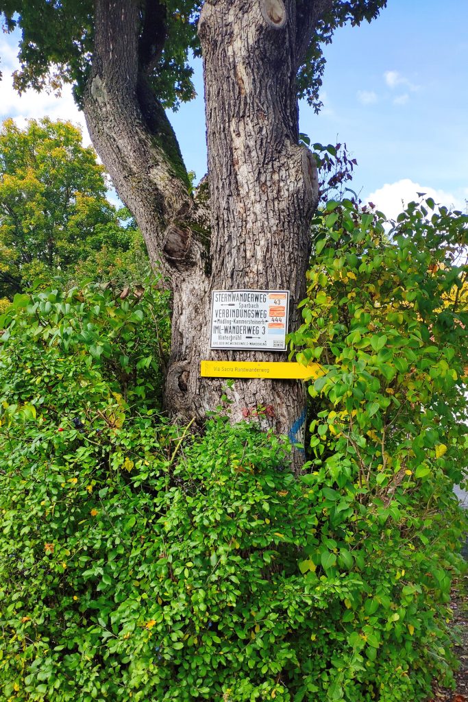 Markierung vor Weißenbach. Foto: Birgit Matzinger