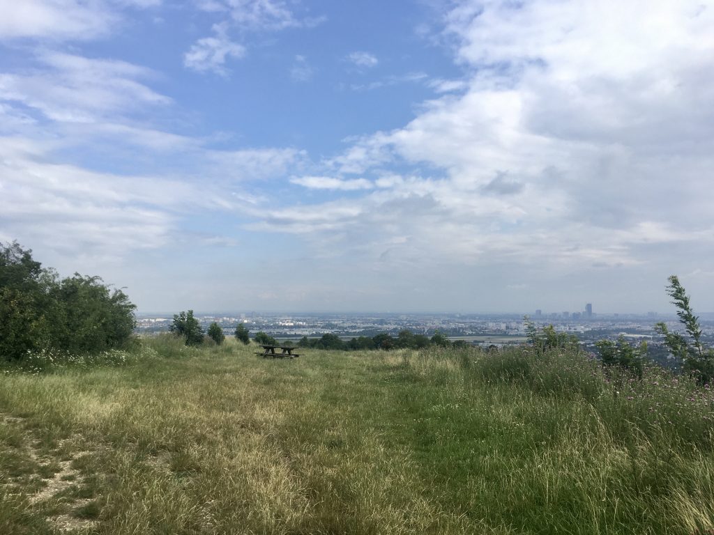 Wiese unterhalb der ehemaligen Sendezentrale. Foto Veronika Schöll