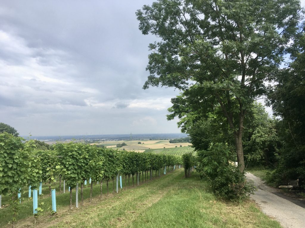 Am Rückweg nach Stammerdorf. Foto Veronika Schöll
