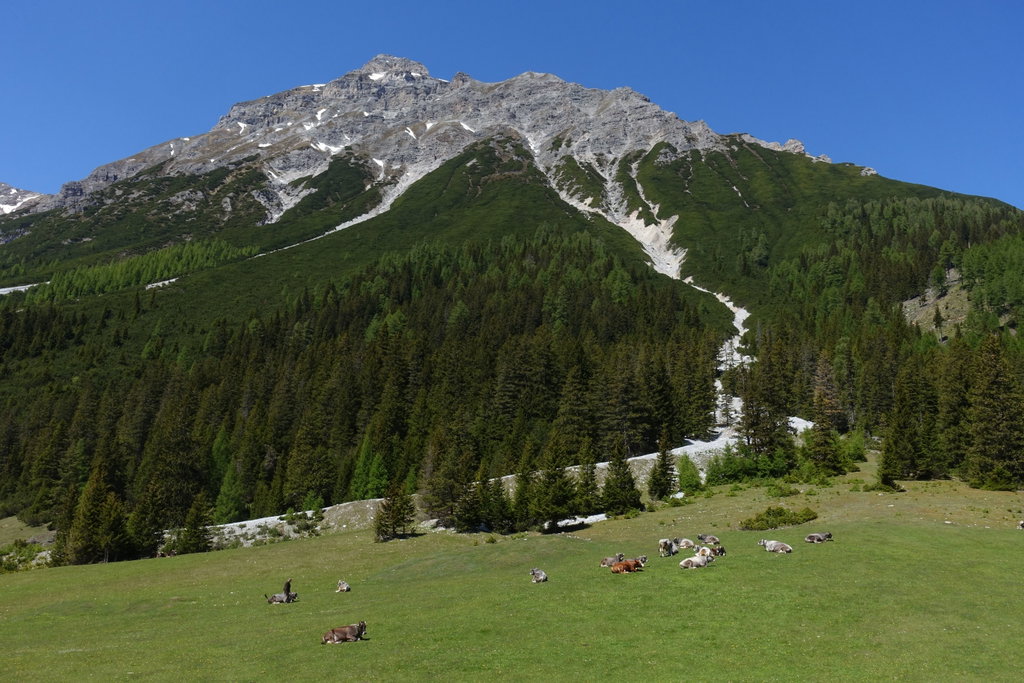 Auf der Ochsenalm. Foto: Peter Backé