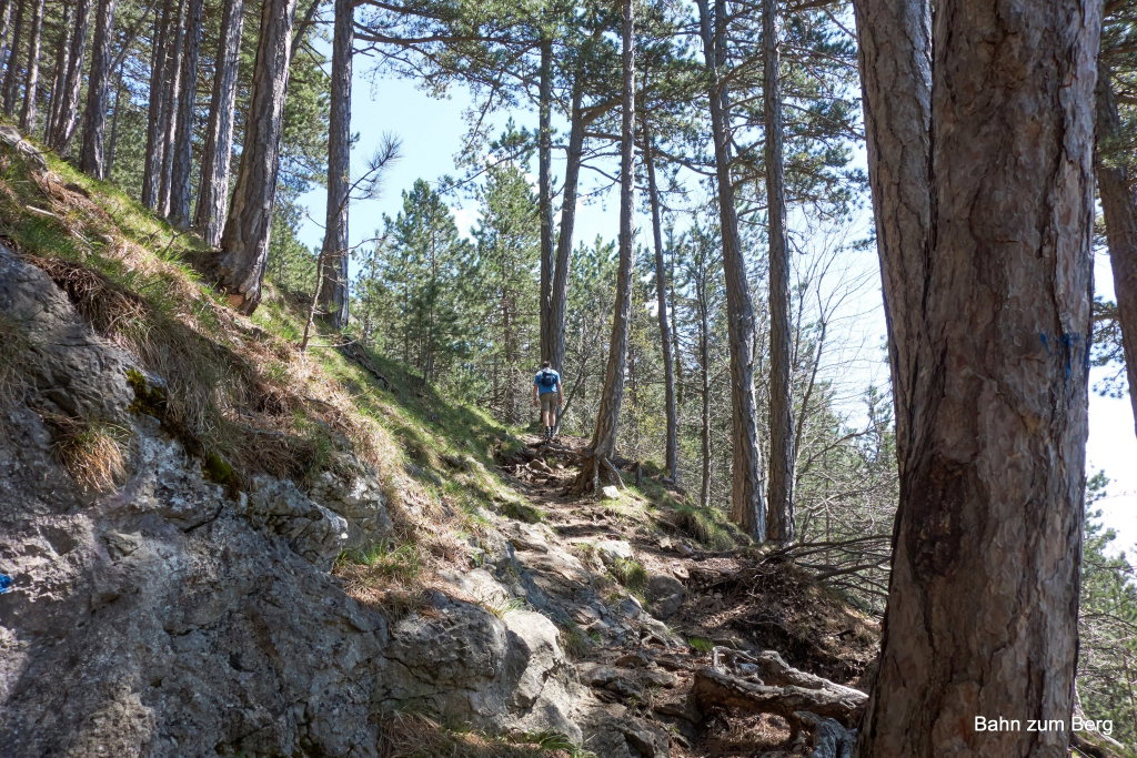 Hohe Wand: Grafenbergweg
