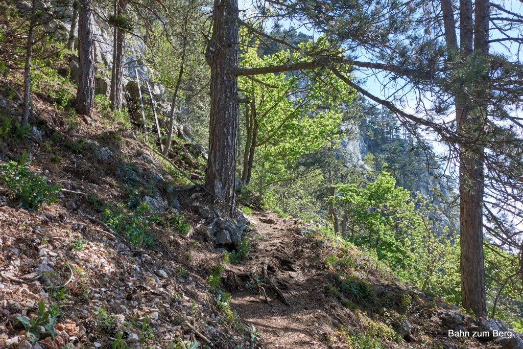 Am Wagnersteig gibt es mehrere Leitern.
